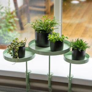 Tray, Plant Tray, Windowsill Clamp Medium Large Green