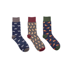 Load image into Gallery viewer, Socks, 3 pack, British Countryside Animals - Pointer, Hare, Fox
