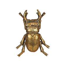 Load image into Gallery viewer, Wall Art, Gold Stag Beetle Male, Small
