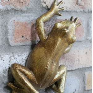 Wall Decoration, Frog.  Antique Gold Finish.