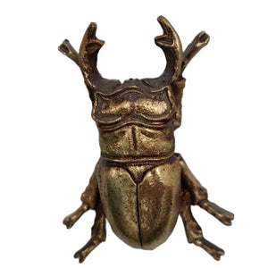 Wall Art, Gold Stag Beetle Male, Small